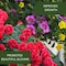 Nutrione NutriOne Essence Granules Flowers and Vegetables Plant Food 10.6 oz 710200A - alternate 4